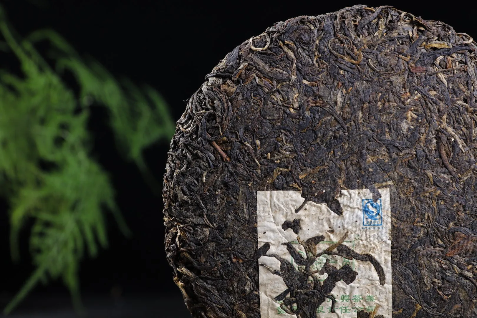 2007 Feng Qing "Zao Chun Yin Hao" Raw Pu-erh Tea Cake