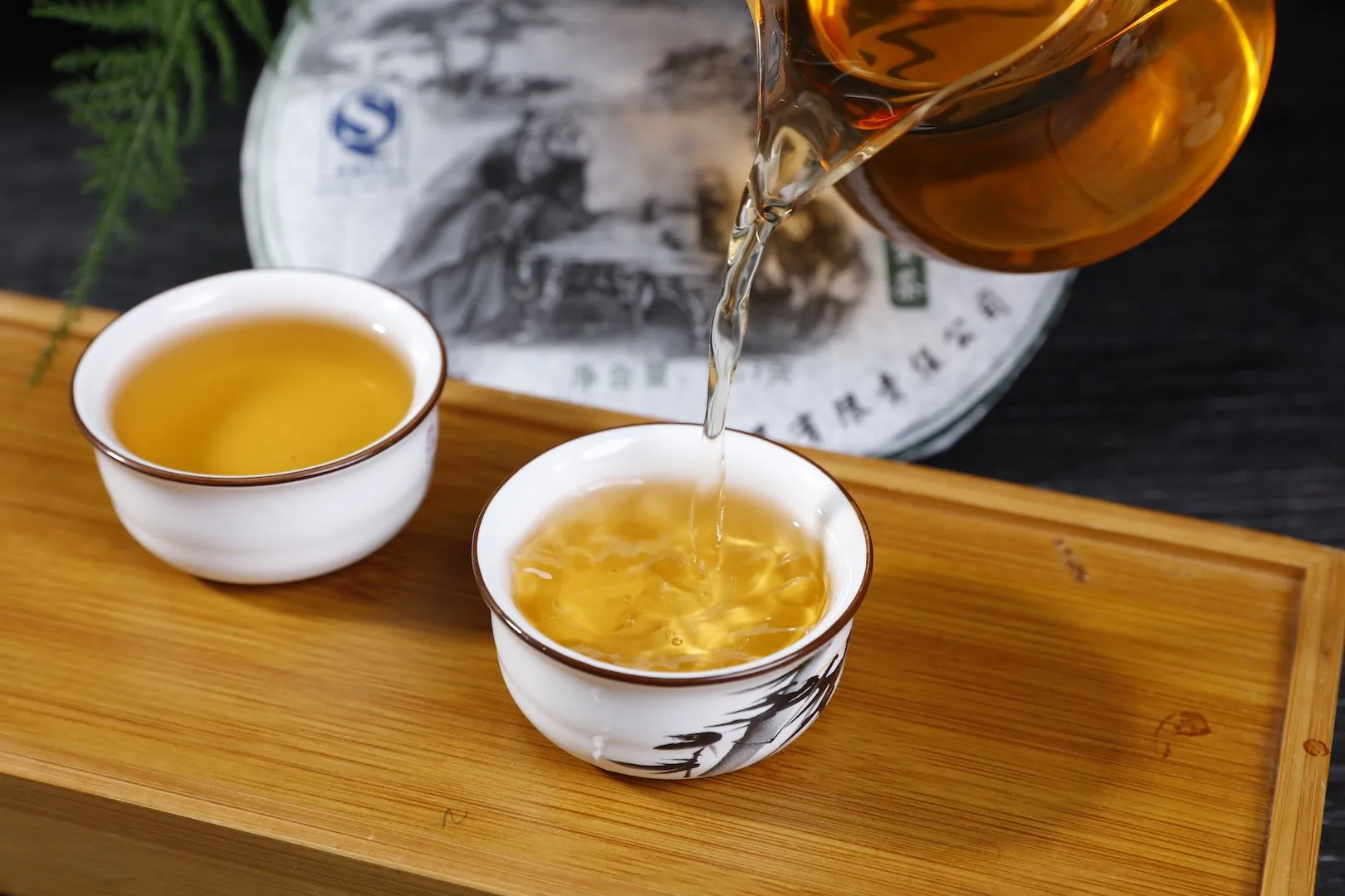 2007 Feng Qing "Zao Chun Yin Hao" Raw Pu-erh Tea Cake