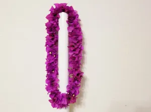 Double Fuchsia Bougainvillea Lei & Grad Bear