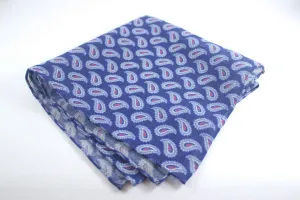 Scarf: Blue Mélange Wool Paisley